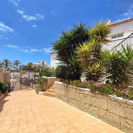 Studio In Las Americas, Central Location K008 Lägenhet