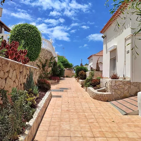 Studio In Las Americas, Central Location K008 Lägenhet